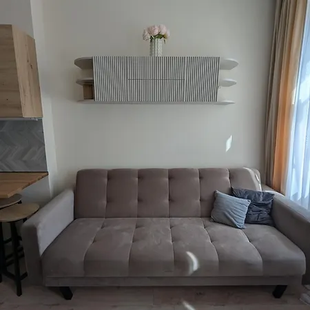 Center * شفيدنيتسا